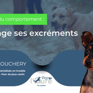 Troubles du comportement : Il mange ses excréments